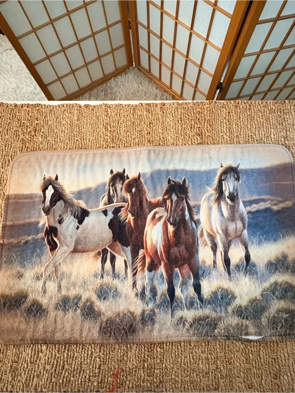 Horse Print Shower Curtain Panel - Navy and Brown & Bath & Rug